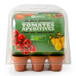 Kit Mini serre Mes tomates...